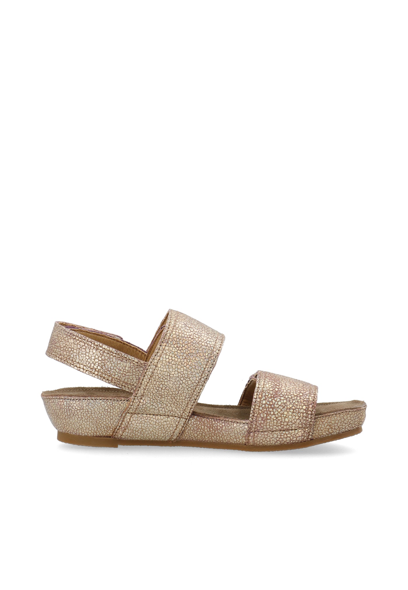 CASHOTT CASAVA Velcro Sandal Metallic Suede Velcro Multi Color